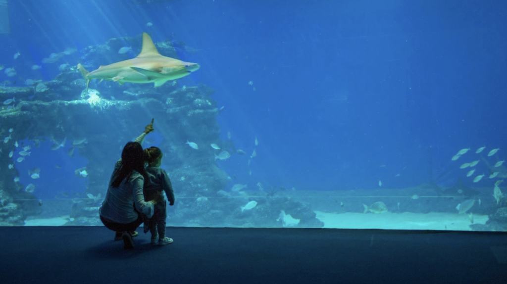 Mother and daughter watching fish and shark in an aquarium